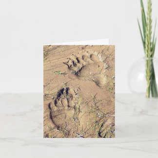 Alaskan Grizz-Spuren - 4" x 5.6" Notizkarte Feiertagskarte