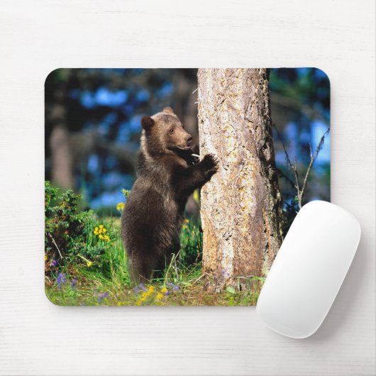 Alaskan Grizzly Bear Cub Mouse Pad Mousepad (Mit Mouse)