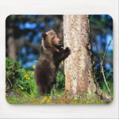 Alaskan Grizzly Bear Cub Mouse Pad Mousepad (Vorne)