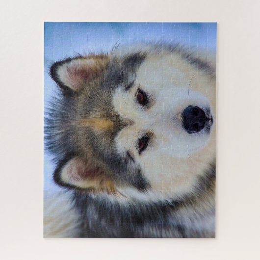 Alaskan Huskey Dog. Jigsaw Puzzle (Vertikal)