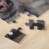 Alaskan Huskey Dog. Puzzle (Seite)