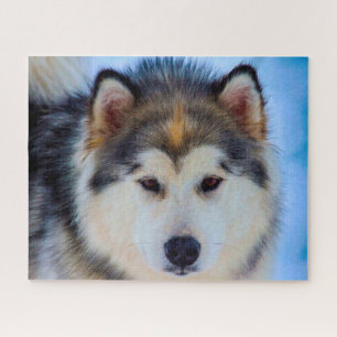 Alaskan Huskey Dog. Puzzle