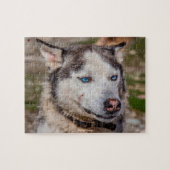 Alaskan Huskey Puzzle (Horizontal)