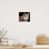 Alaskan Husky Dog Poster (Küche)