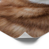 Alaskan Husky Dog Poster (Ecke)