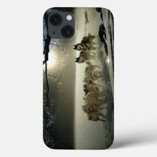 Alaskan Husky Dog Sled Race Case-Mate iPhone Hülle