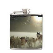 Alaskan Husky Dog Sled Race Flachmann (Vorderseite)