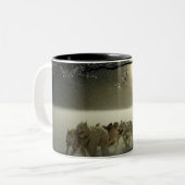 Alaskan Husky Dog Sled Race Zweifarbige Tasse (Vorderseite Links)