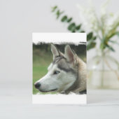 Alaskan Husky Postcard Postkarte (Stehend Vorderseite)
