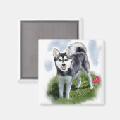Alaskan Klee Kai Art Magnet (Vorderseite/Rückseite)