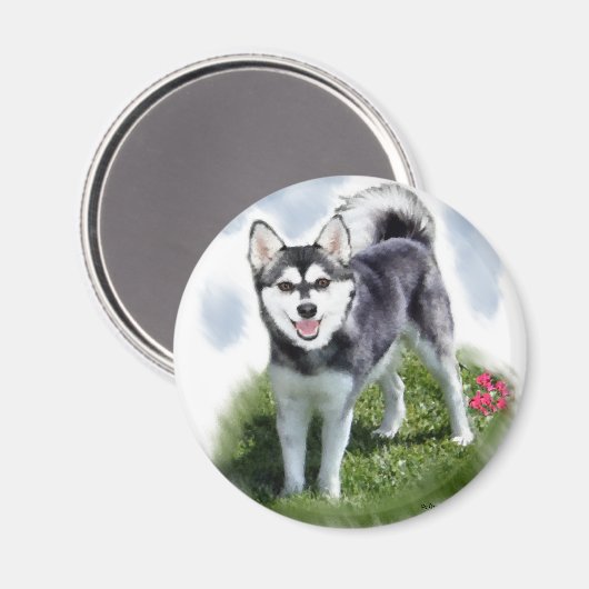 Alaskan Klee Kai Art Magnet (Vorderseite/Rückseite)