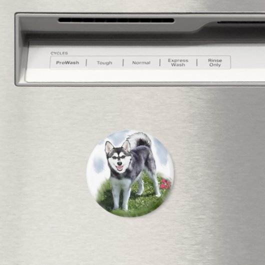 Alaskan Klee Kai Art Magnet (In Situ (Geschirrspüler))
