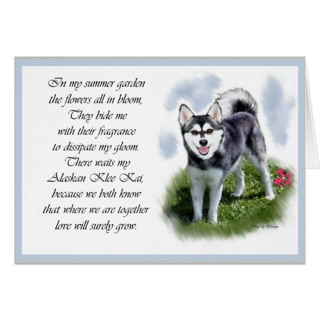 Alaskan Klee Kai Gifts (Vorderseite (Horizontal))