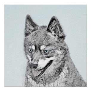 Alaskan Klee Kai Painting - Niedliche Original Dog Poster