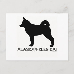 Alaskan Klee Kai Postcard Postkarte