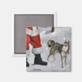 Alaskan Klee Kai Weihnachtsgeschenken Magnet (Vorderseite/Rückseite)