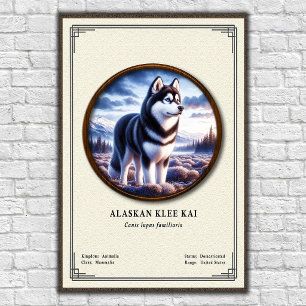 Alaskan Klee Kai Zoologie-Serie Poster