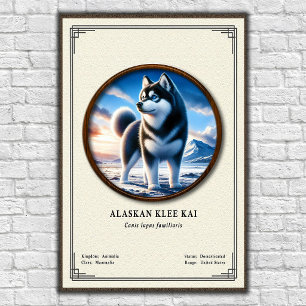 Alaskan Klee Kai Zoologie-Serie Poster