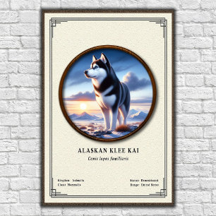 Alaskan Klee Kai Zoologie-Serie Poster