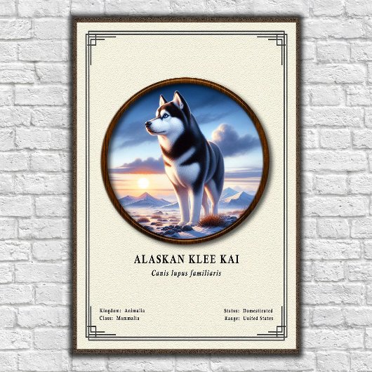 Alaskan Klee Kai Zoologie-Serie Poster
