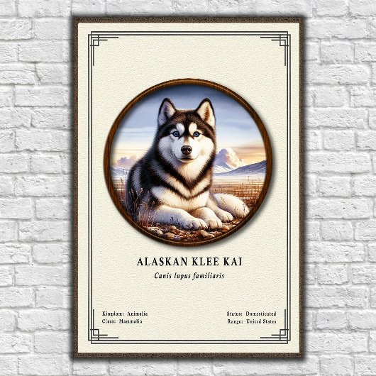 Alaskan Klee Kai Zoologie-Serie Poster