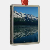 Alaskan Küste Schöne Naturfotografie Silbernes Ornament (Rechts)