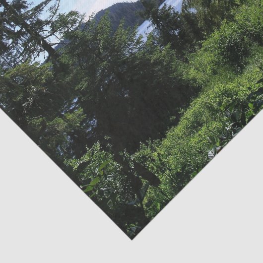 Alaskan Landschaft Schöne Alaska Fotografie Seidenpapier (Ausschnitt)