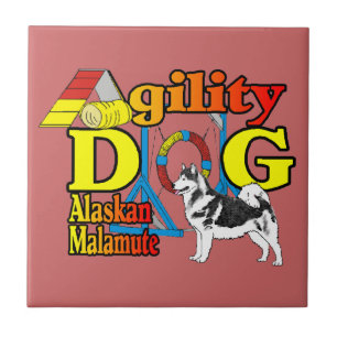 Alaskan Malamute Agility Fliese