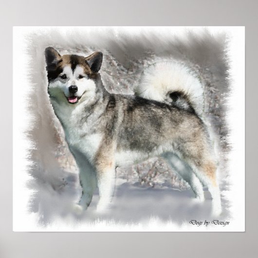 Alaskan Malamute Art Print Geschenke Poster (Vorne)