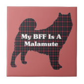 Alaskan Malamute BESTE FREUNDIN Fliese (Vorderseite)