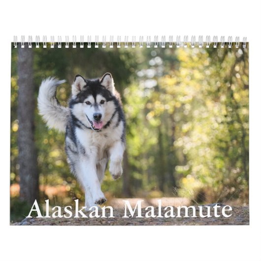 Alaskan Malamute Calendar Kalender (Titelbild)