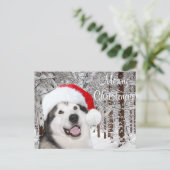 Alaskan Malamute Christmas Feiertagspostkarte (Stehend Vorderseite)