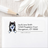 Alaskan Malamute Clean n Simple (Insitu)