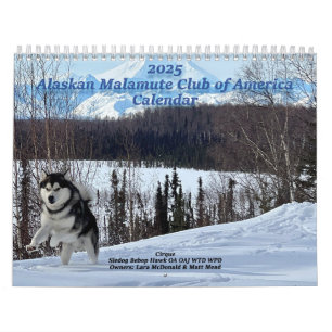 Alaskan Malamute Club of America Calendar 2025 Kalender