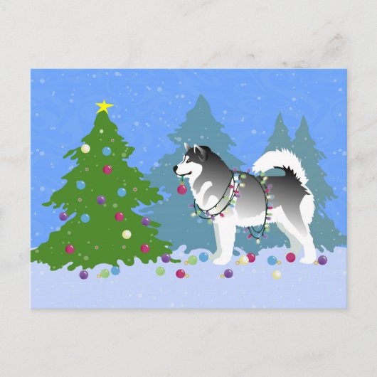 Alaskan Malamute dekoriert Weihnachtsbaum Feiertagspostkarte (Vorderseite)