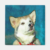 Alaskan Malamute Dog Art Magnet (Vorne)