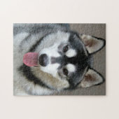 Alaskan Malamute Dog Face Foto Puzzle (Horizontal)