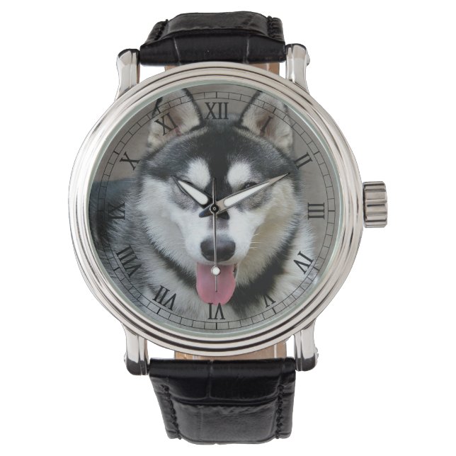 Alaskan Malamute Dog Foto Armbanduhr (Vorderseite)