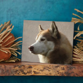 Alaskan Malamute Dog Foto Fotoplatte (Seite)