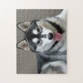 Alaskan Malamute Dog Foto Image Puzzle (Vertikal)