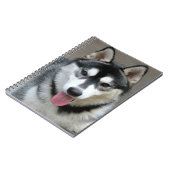 Alaskan Malamute Dog Foto Notizblock (Linke Seite)