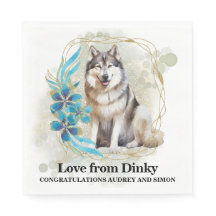 Alaskan Malamute Dog Foto Wedding