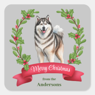 Alaskan Malamute Dog Holly Banner Weihnachten Quadratischer Aufkleber