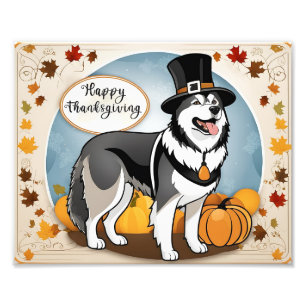 Alaskan Malamute Dog Pilgrim Happy Thanksgiving Fotodruck