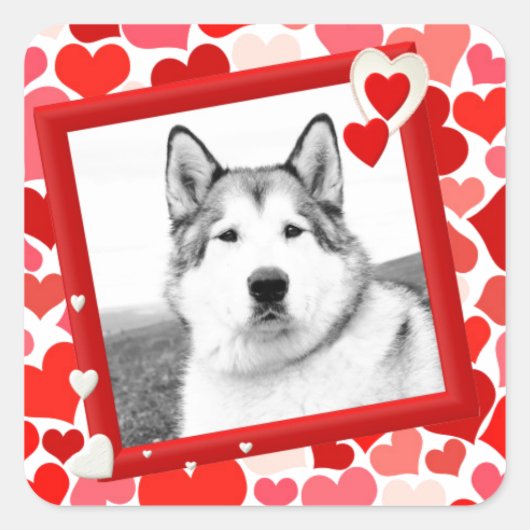 Alaskan Malamute Dog Valentines Herz Quadratischer Aufkleber (Vorderseite)