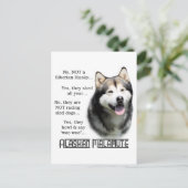 Alaskan Malamute FAQ Postkarte (Stehend Vorderseite)