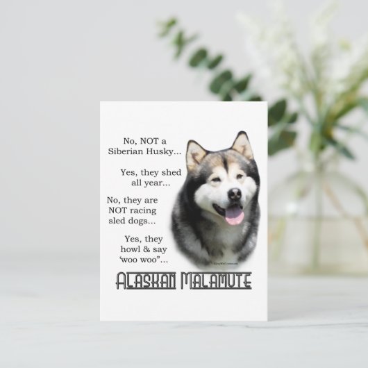 Alaskan Malamute FAQ Postkarte (Stehend Vorderseite)