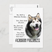Alaskan Malamute FAQ Postkarte (Vorne/Hinten)