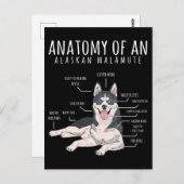 Alaskan Malamute Funny Dog Owner Postkarte (Vorne/Hinten)