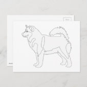 Alaskan Malamute für Farbe und Anpassung bereit Postkarte (Vorne/Hinten)